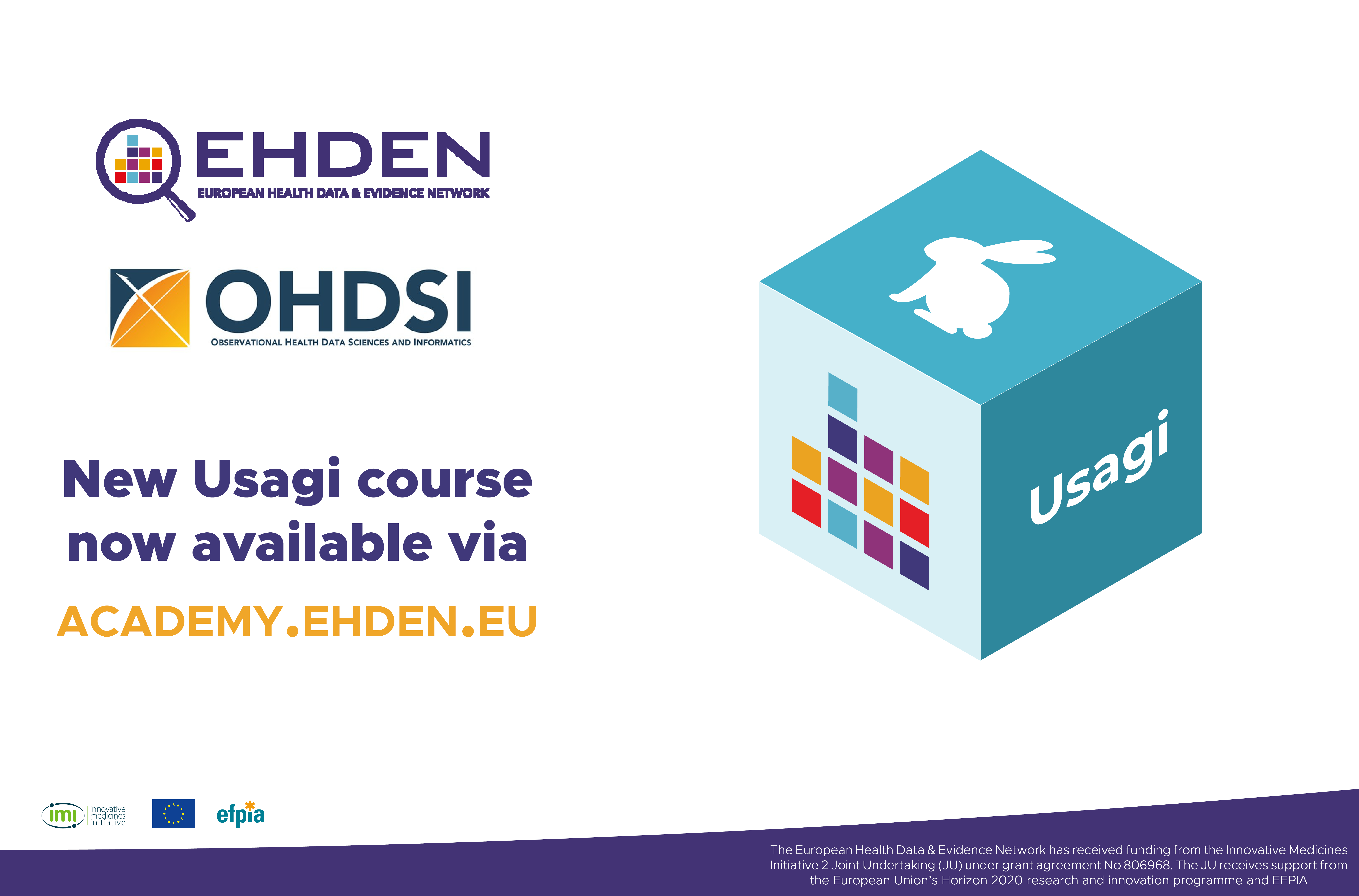 EHDEN Academy launches 15th course on an Introduction to Usagi & Code Mappings for an ETL